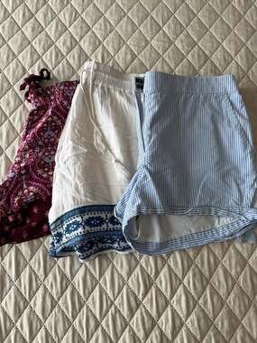 Shorts Bundle Assorted Women Casual / Dress Up Shorts Lot of 3